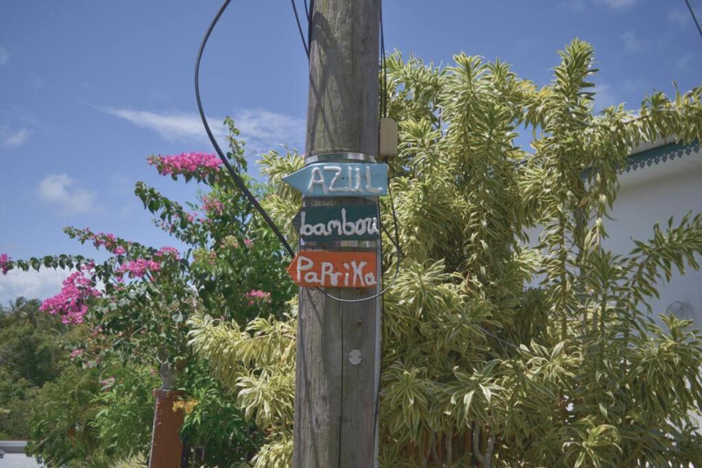 Les Villas Du Bambou - Villa Bambou Jusqu'A 6 Pers 哥西尔 外观 照片